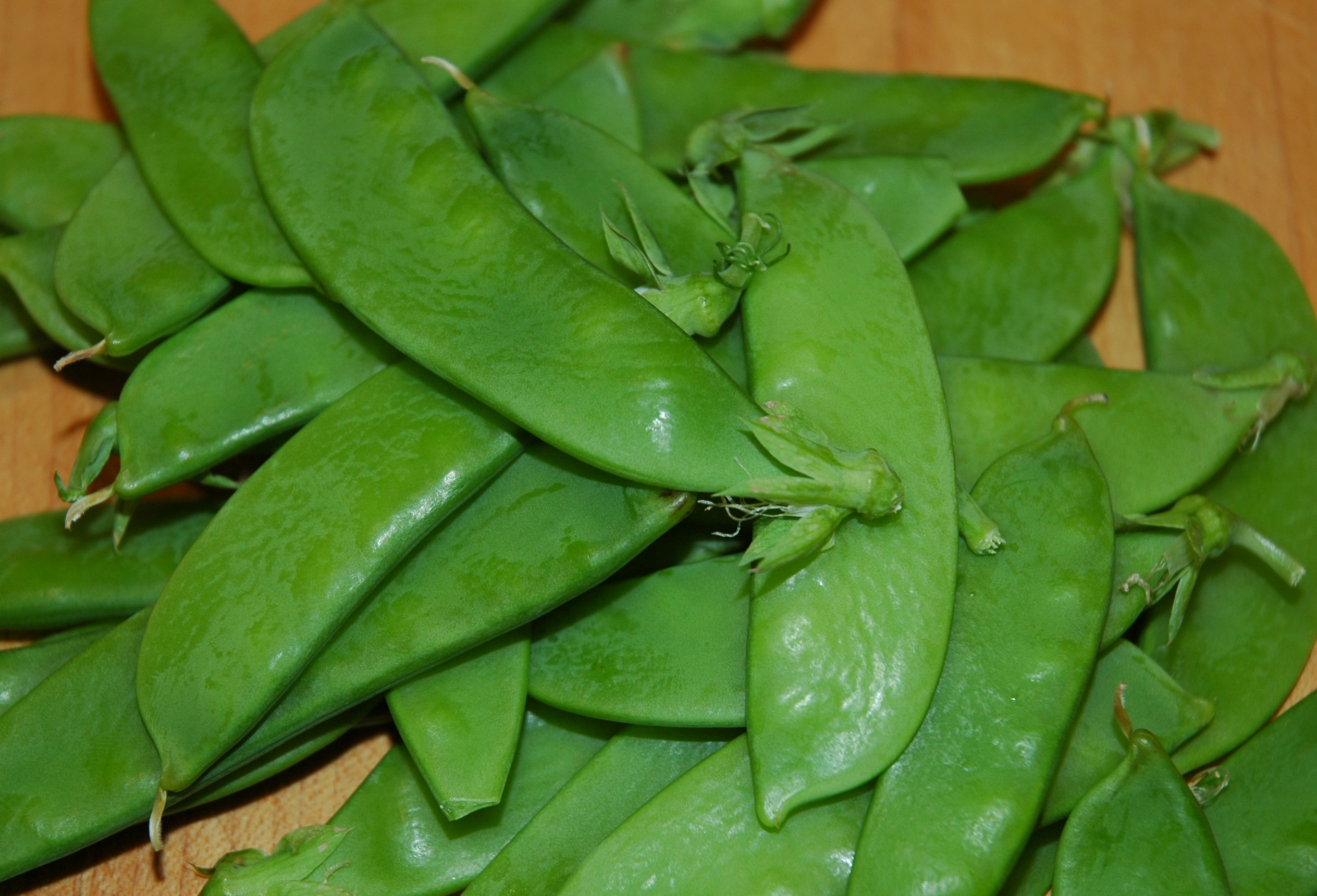 Do French footy crowds shout "oui!" when there's a goal? Singletrack