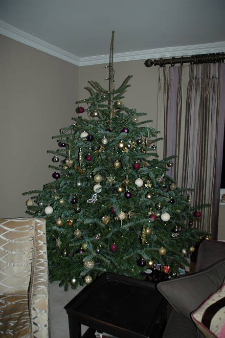 lounge christmas tree