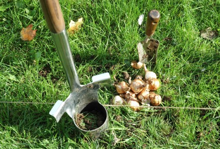 Bulb Planting Tools 2