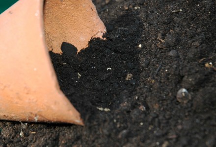 Fill with compost