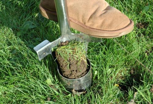 Bulb Planting Soil Plug